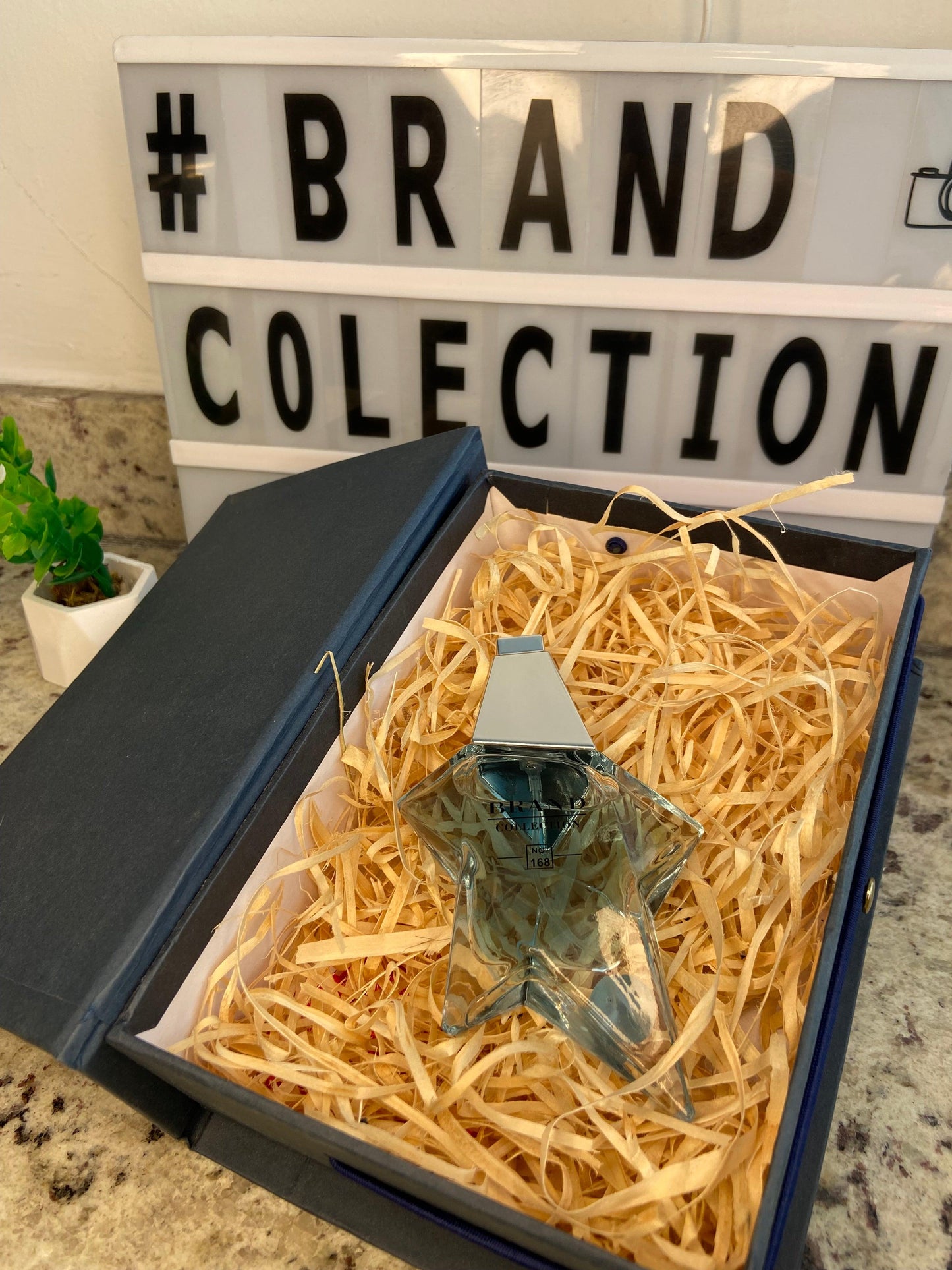 ANGEL BRAND COLLECTION 168