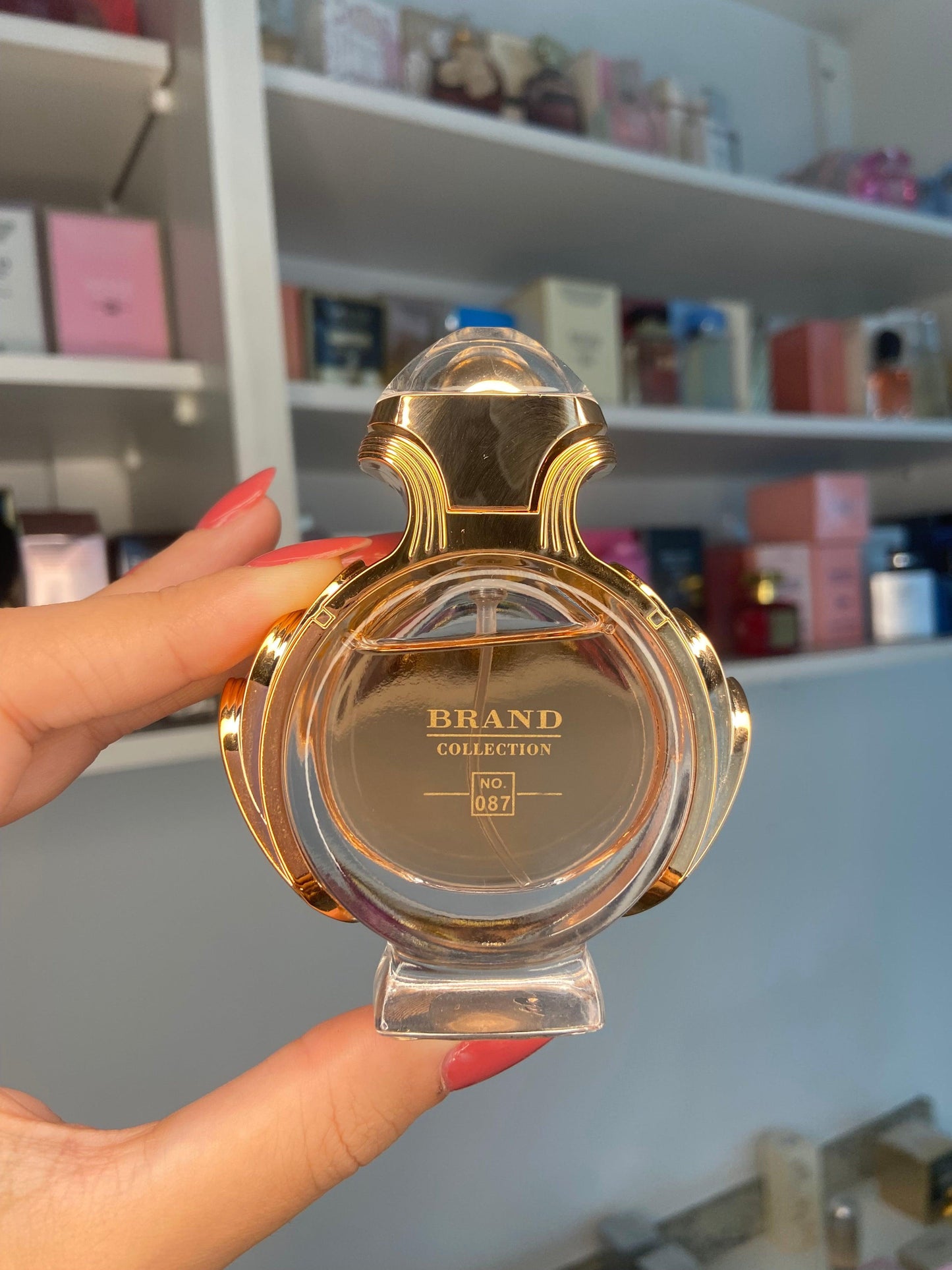 OLYMPEA BRAND COLLECTION 087