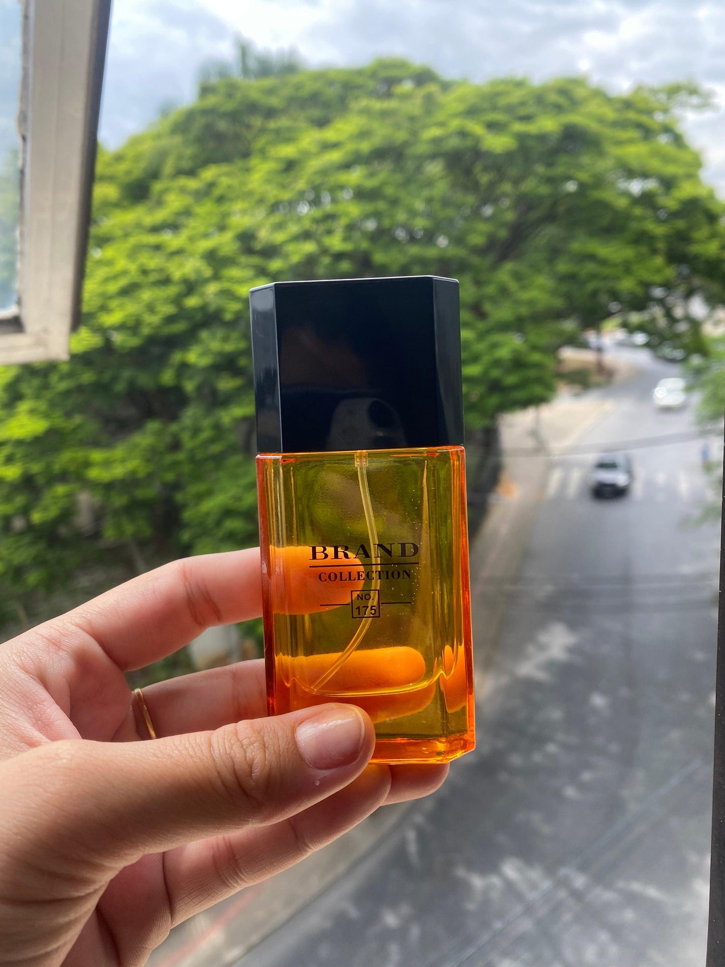 AZZARO POUR HOMME BRAND COLLECTION 175